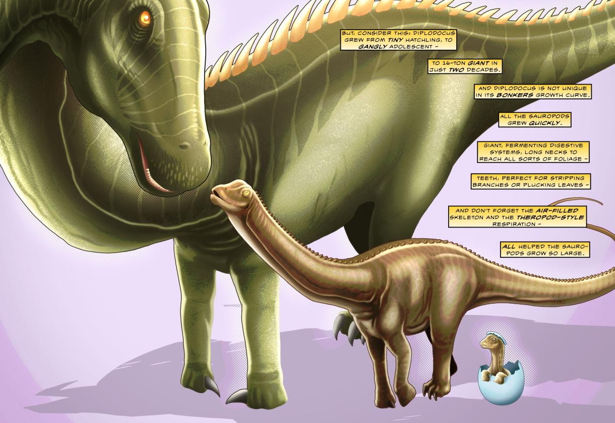 A Family of Sauropods