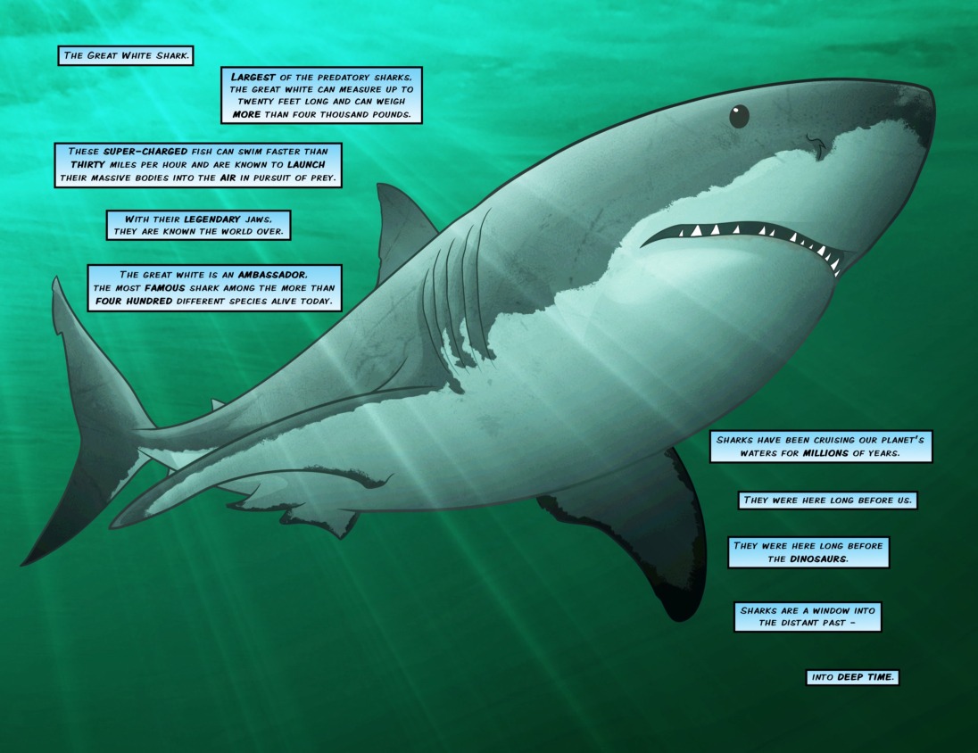 Sharks: A 400 Million Year Journey Pg. 1