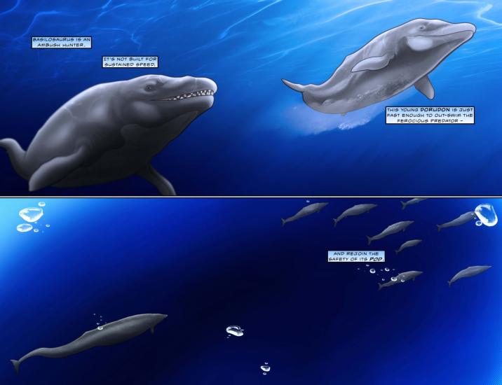 Fifty Million Years of Whales Pg 3