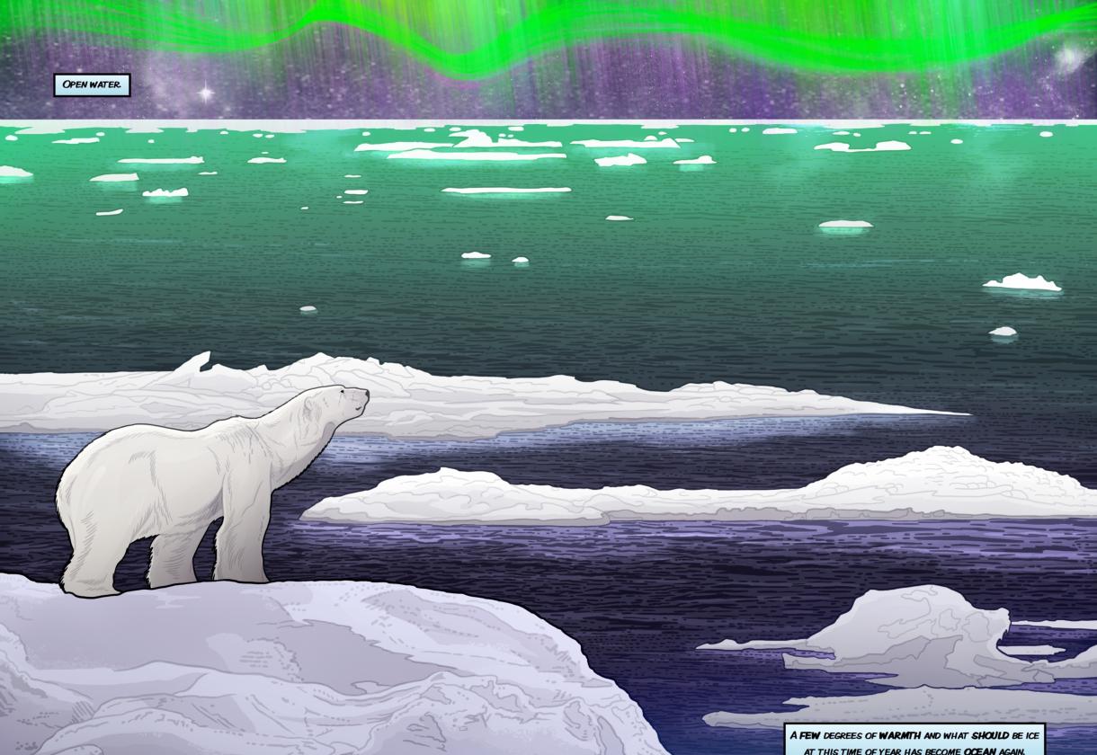 Polar Bears Looking at an Aurora