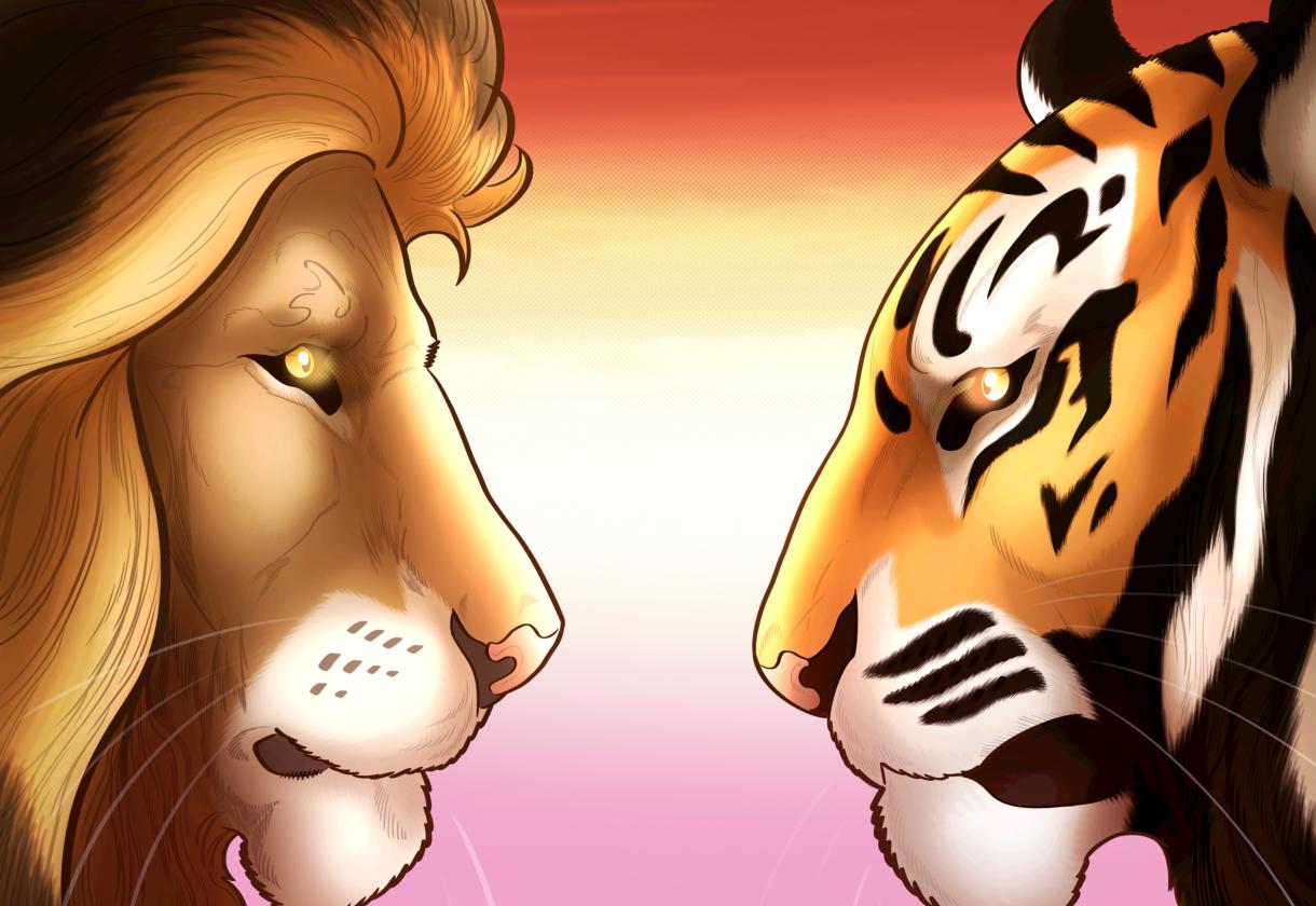 Lions and Tigers Face Off