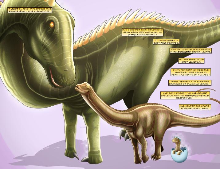  Sauropods: The Largest Animals to Ever Walk the Earth 2