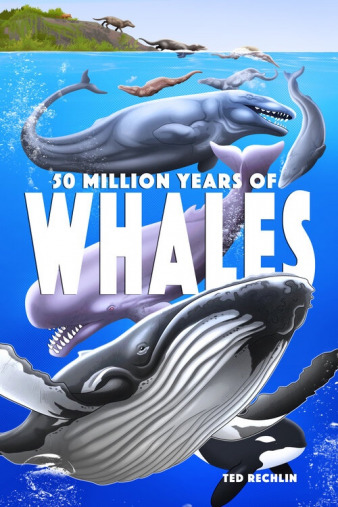 Rextooth: Fifty Million Years of Whales cover