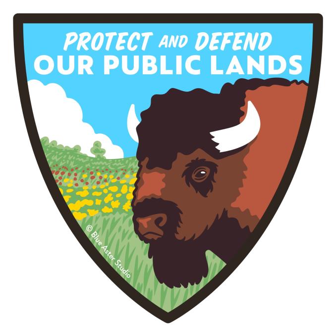 Protect and Defend - Bison