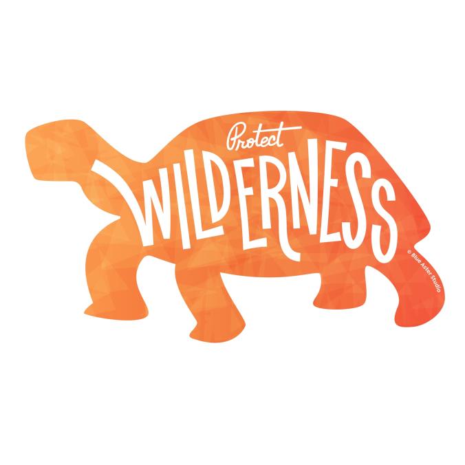 Protect Wilderness - Desert Tortoise