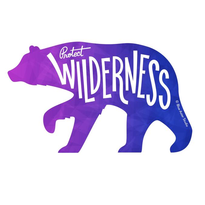 Protect Wilderness - Black Bear