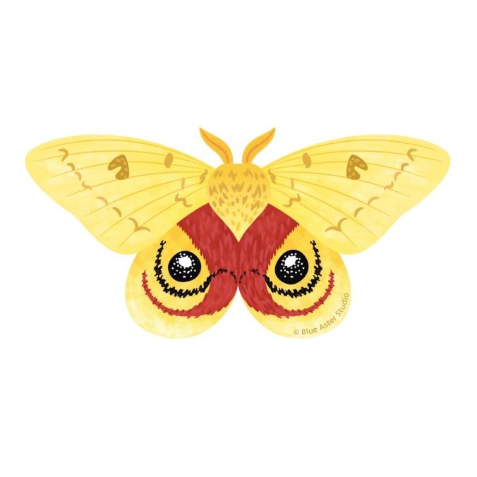 Io Moth