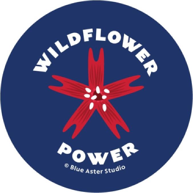 Wildflower Power