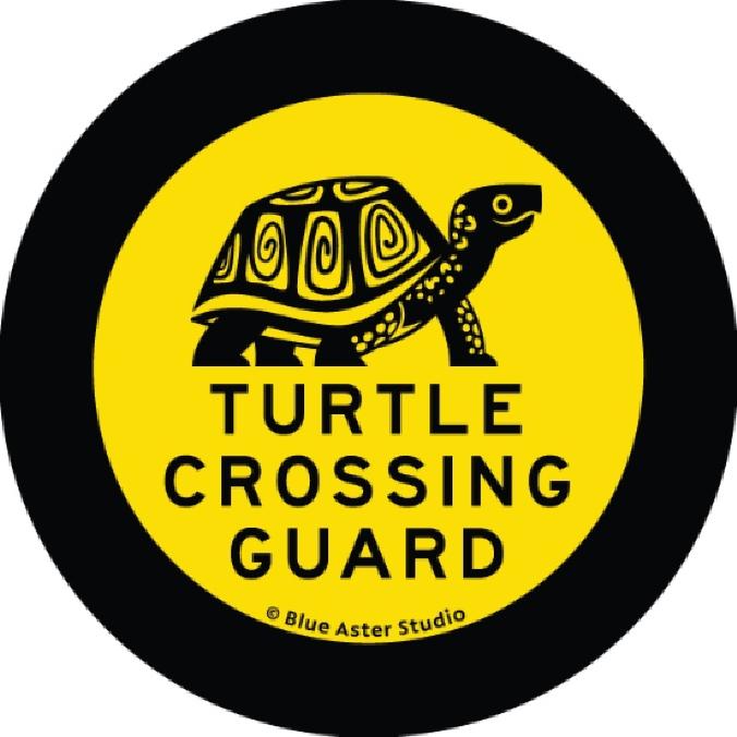 Turtle Crossing Guard | Dinosaur Comic | Rextooth Studios Bozeman