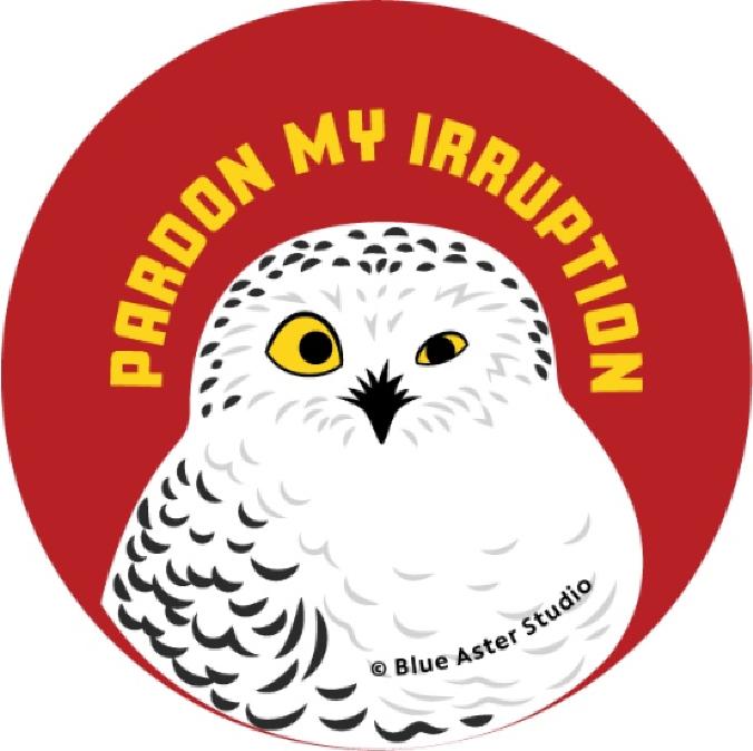 Pardon My Irruption - Snowy Owl