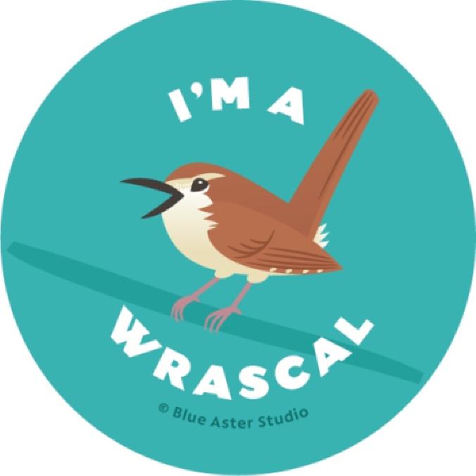 I'm a Wrascal - Carolina wren