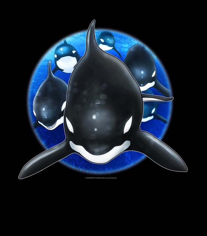 Orca Sticker