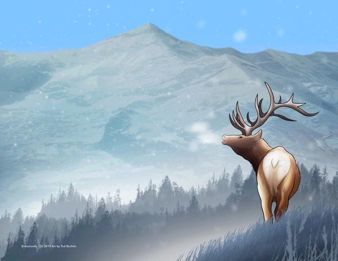 Elk in the Mountains