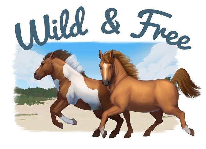 Horses Wild and Free