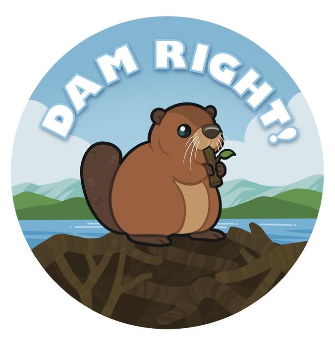 Dam Right! Beaver