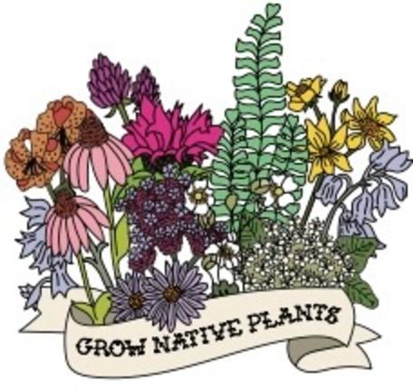 Grow Native Plants - Midwest