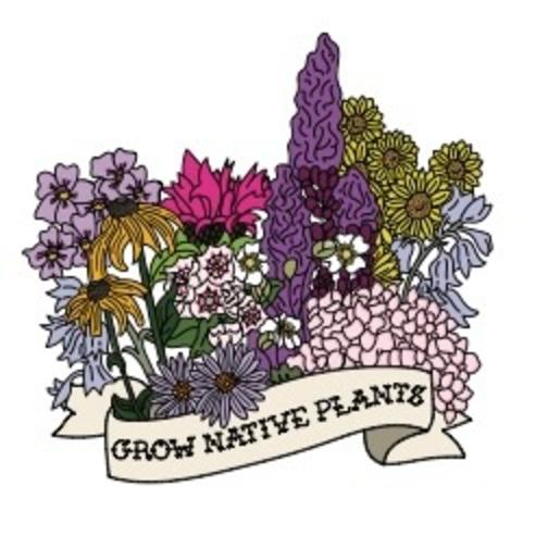 Grow Native Plants - Northeast