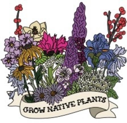 Grow Native Plants - Southeast