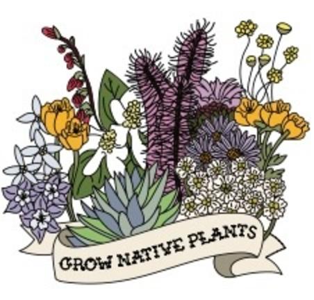 Grow Native Plants - Southwest
