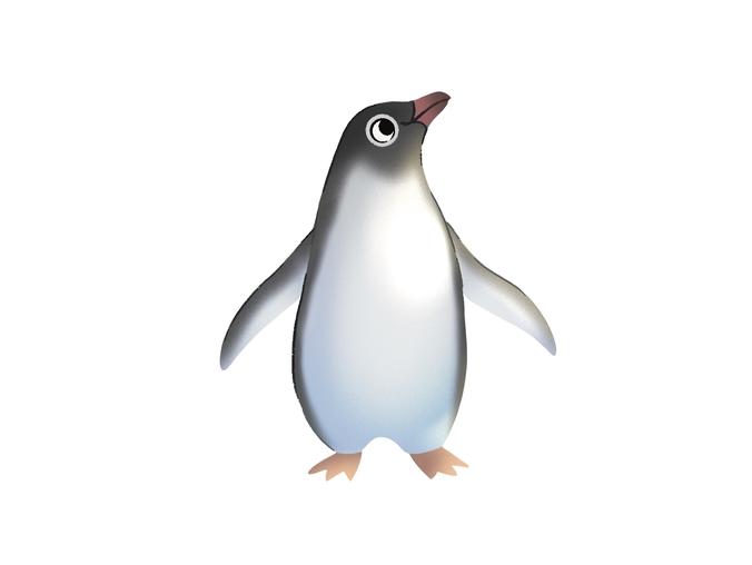 Penguin Magnet