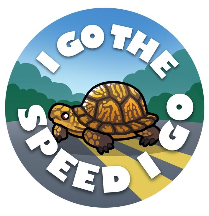 Turtle I Go the Speed I Go
