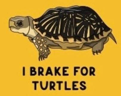 I Brake for Turtles