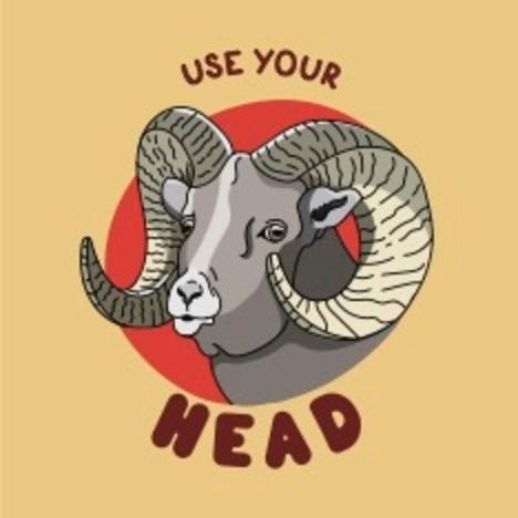 Bighorn Sheep