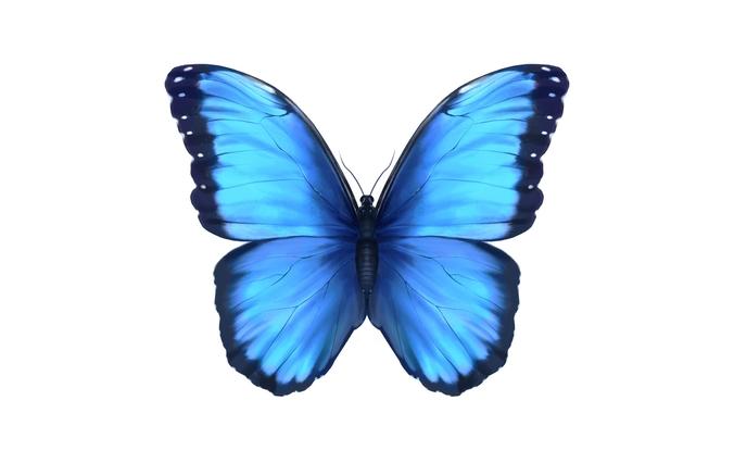 Blue Morpho Butterfly Wood Magnet