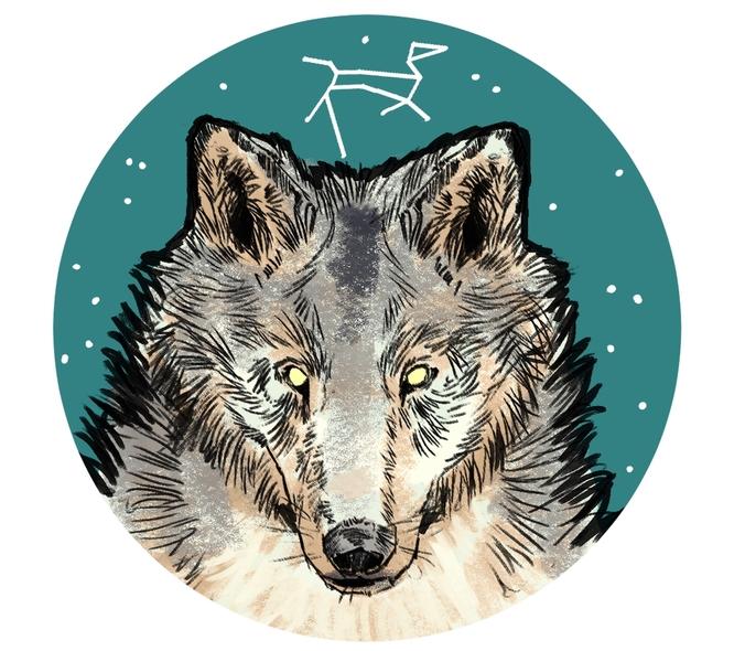 Wolf Stars Sticker