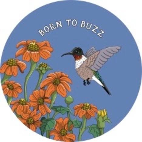 Born to Buzz Hummingbird
