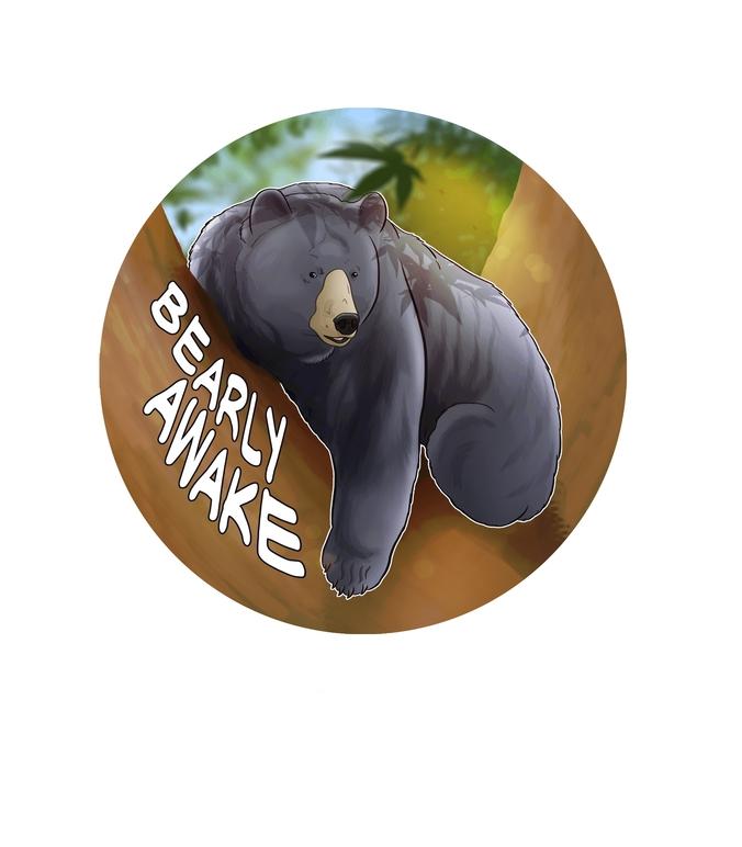 Black Bear Bearly Awake