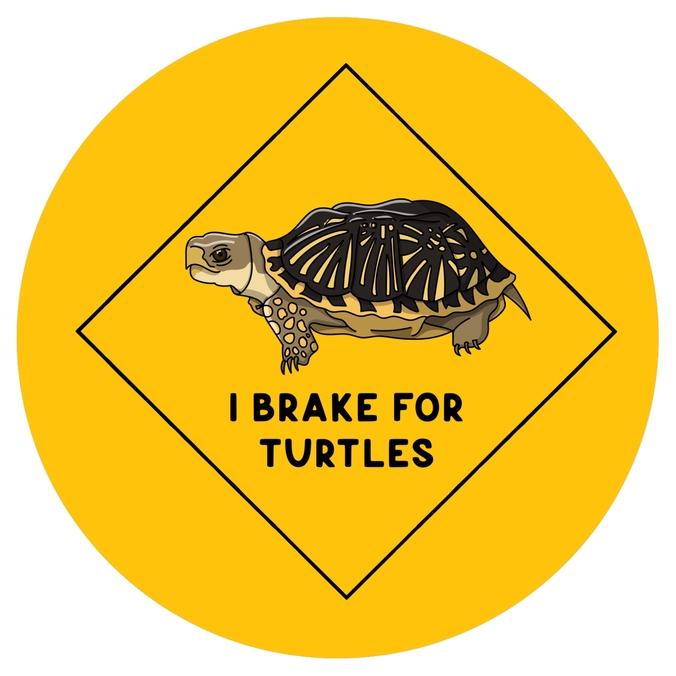 I Brake For Turtles