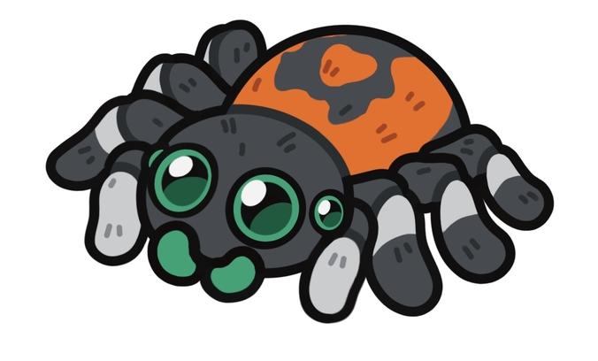 Jumping Spider Wood Key Ring