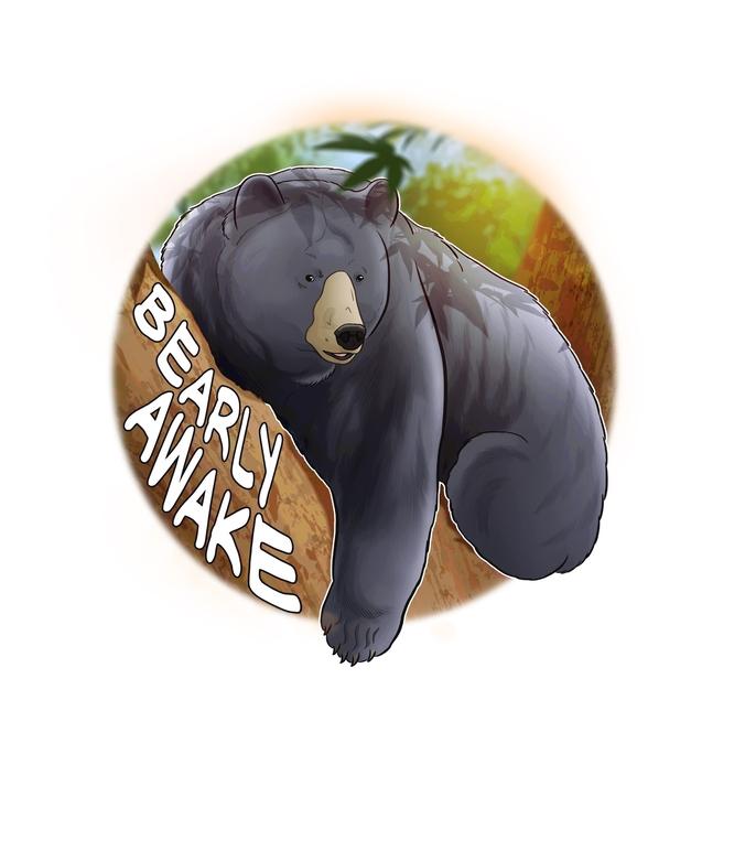Black Bear Bearly Awake