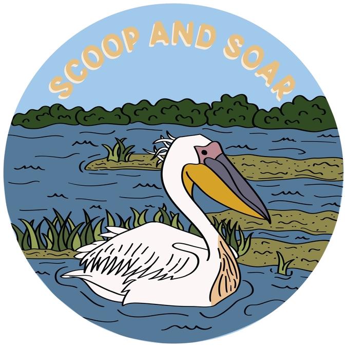 American White Pelican