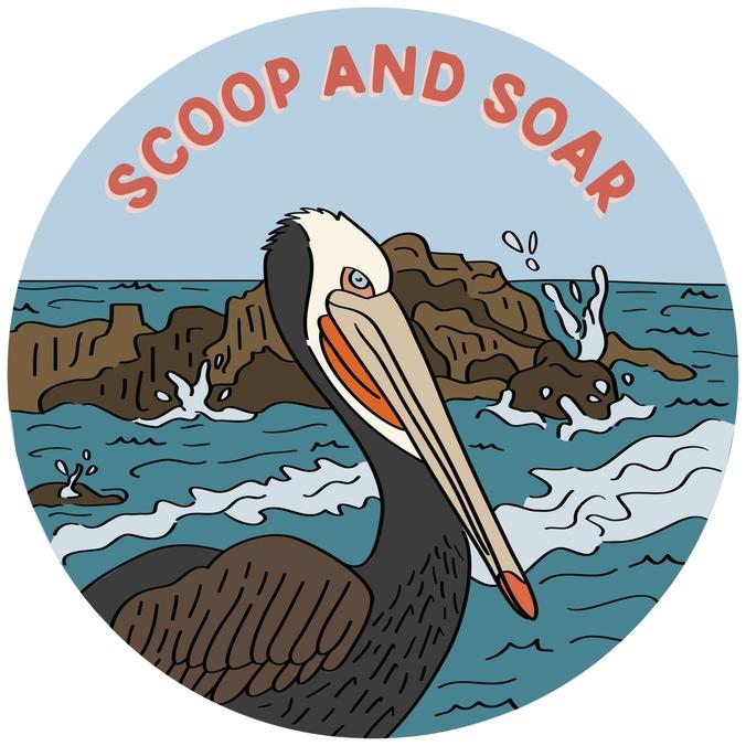 Brown Pelican